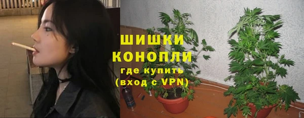 Альфа ПВП Новодвинск