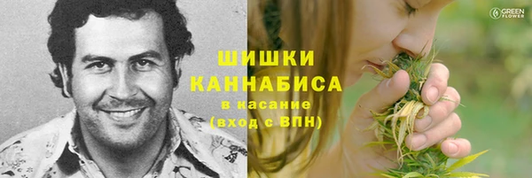 Альфа ПВП Новодвинск