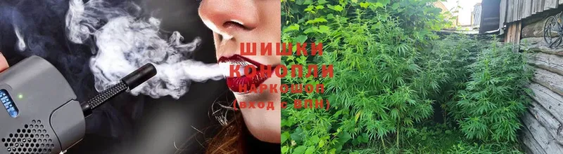 Бошки марихуана Ganja  Лысково 